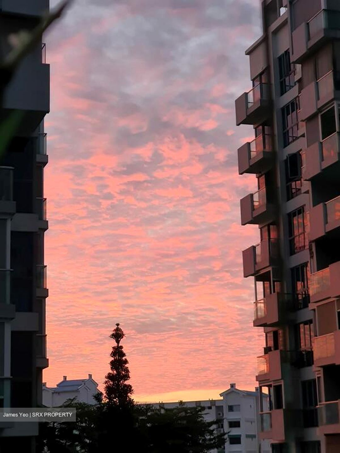 The Canopy (D27), Condominium #571826031
